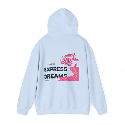 THE DREAMS COLLECTION HOODIE IN LIGHT PINK AND BLUE